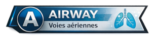 Airway - Voies aériennes