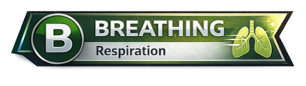 Breathing - Respiration