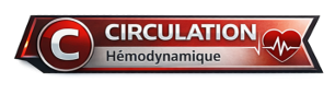 Circulation - Hémodynamique